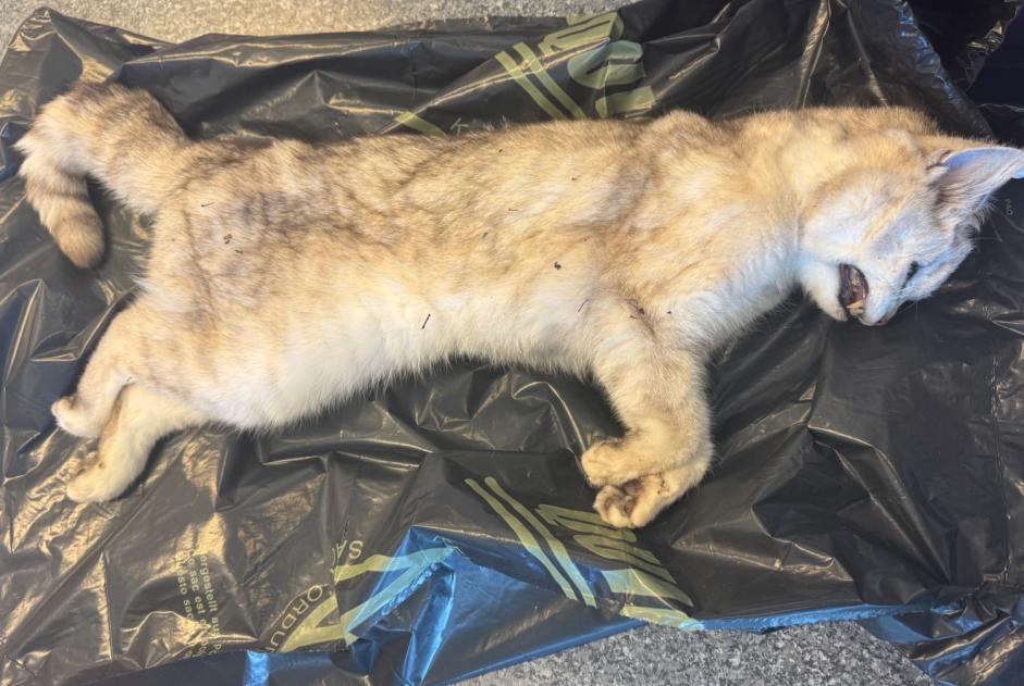 Ontdekkingsalarm Kat  Onbekend Saint-Sulpice Zwitserland