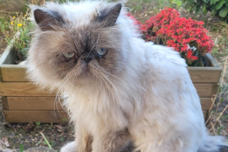 Discovery alert Cat  Unknown Lyon France