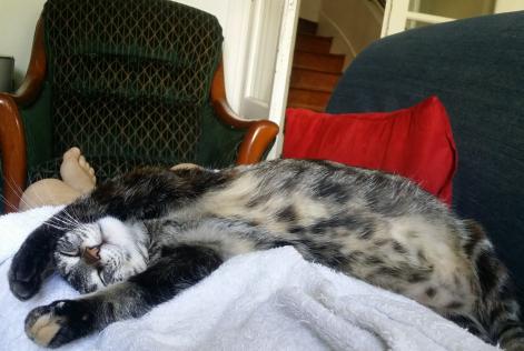 Chat sexe brive la gaillarde